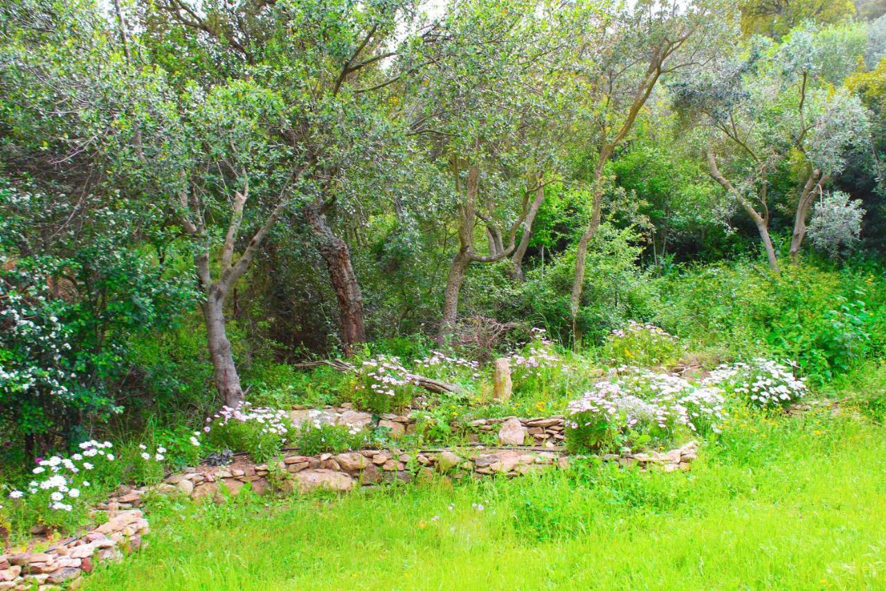 Agriturismo Sogno Latino Iglesias Exterior foto